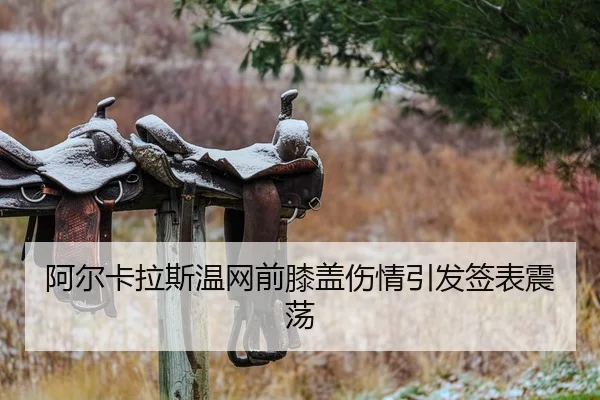 a-er-ka-la-si-wen-wang-qian-xi-gai-shang-qing-yin-fa-qian-biao-zhen-dang-2-232.jpg